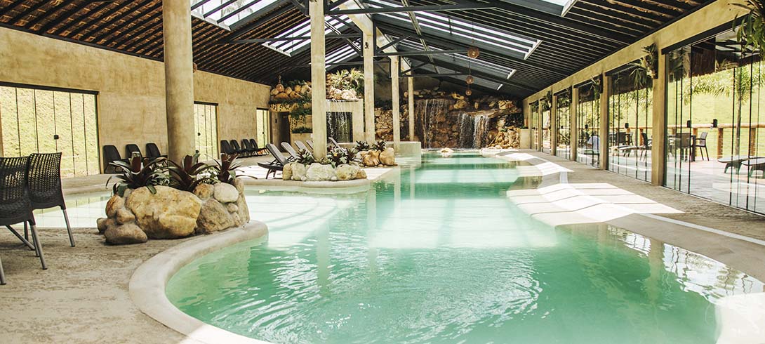 oasis cheiro verde