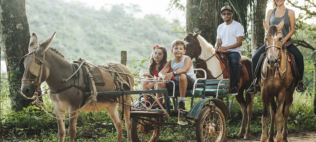 passeio pela fazenda
